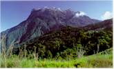 Kinabalu National Park